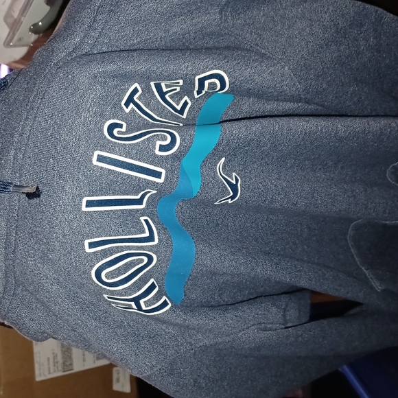 Hollister Other - 3/$10 Men's medium Hollister hoodie